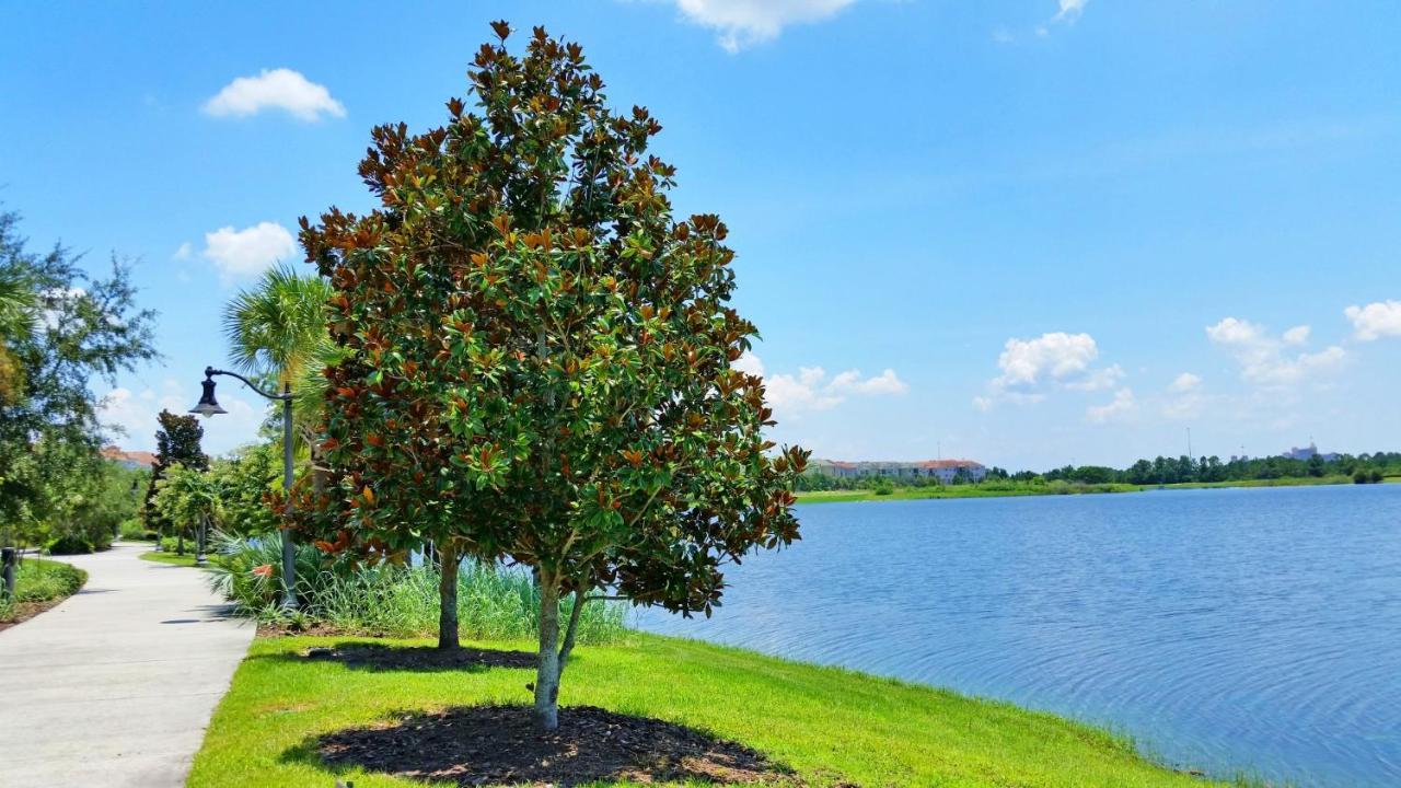5025 Shoreway Loop #203 Orlando Luaran gambar